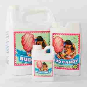 BUD CANDY